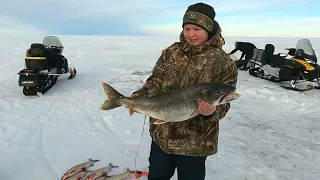 Канада, север, рыбалка сетями