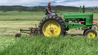 Mowing Alfalfa/Grass with a John Deere Model A and No. 5 Sickle Mower