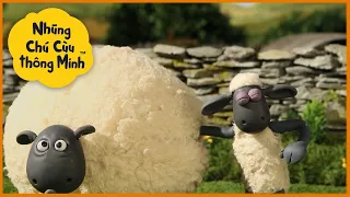 Những Chú Cừu Thông Minh 🐑 Con cừu lớn Tập đầy đủ