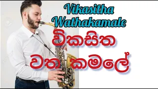 How to play Saxophone for beginners Sinhala#Vikasitha Watha Kamale# Saxophone tutorial