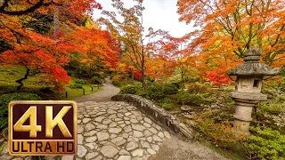 El jardín japonés en resolución 4K - 1 hora - Los  sonidos relajantes de la naturalez - a El Otoño