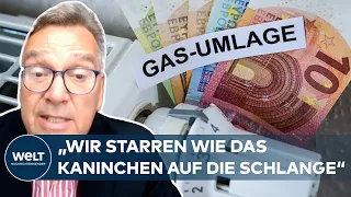 GASUMLAGE: Kostenexplosion! Energieexperte Umbach für Gas-Ultimatum an Wladimir Putin