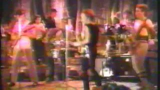 Oingo Boingo rare video live performance of "Louise"