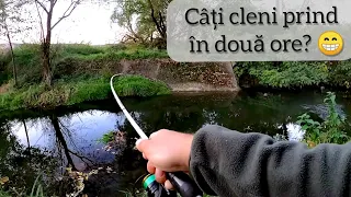 Pescuit la CLEAN - Două ore de ACTIVITATE MAXIMĂ pe un mic PÂRÂU - Octombrie 2020