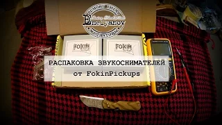 Распаковка звукоснимателей от Fokin Pickups