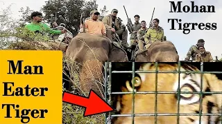 Jim Corbett National Park | Mohan Tiger Attack | 3 Dangerous Tiger Encounters | Mohan Man Eater