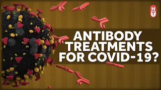 Can We Use Antibodies to Treat Covid-19?