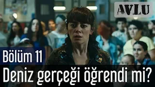 Avlu 11. Bölüm (Sezon Finali) - Deniz Gerçeği Öğrendi mi?