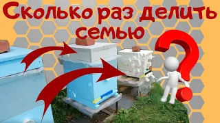 Количество отводков от одной семьи.- Разумное расширение, увеличение пасеки.