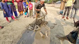 video Fishermen Catching Fish With a Cast Net   Caught a lot of mullet in the pond