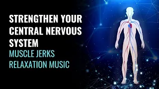 Strengthen Your Central Nervous System | Muscle Twitches Cure | Muscle Jerks Relaxation Music- 432Hz