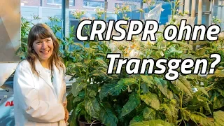 Das Problem mit CRISPR/Cas9 - Joram unterwegs