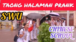 TAONG HALAMAN PRANK: SWU AND CHINESE SCHOOL". 😁🥰