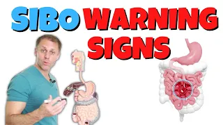 Early Warning Signs of SIBO (Small Intestinal Bacterial Overgrowth)