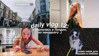 DAILY VLOG 12: возвращение в Лондон 🇬🇧 болтаем с сестрой, гуляем с собакой и готовимся к переезду!