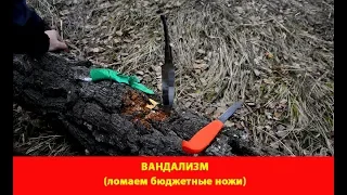 Вандализм (ломаем бюджетные ножи)