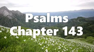 The Book of Psalms Chapter 143 - New King James Version (NKJV) - Audio Bible