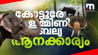 ഞങ്ങള്‍ ബിസിയാണ് ഗയ്‌സ്..!!! കോട്ടൂരേ ഇമ്മിണി ബല്യ ആനക്കാര്യം | Kottur Elephant Sanctuary