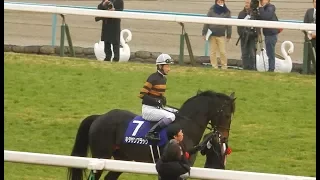 競馬2018キタサンブラック引退式/ザ・チャンピオンに乗って入場、そして最後の走り(2018.01.07)