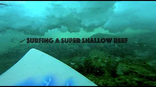 SURFING A SUPER SHALLOW REEF  | South West POV Raw Surf
