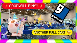 Let’s Go To Goodwill Bins! Thrift With Me for Resale on Ebay! I Found An Item Worth $100+ | +HAUL!