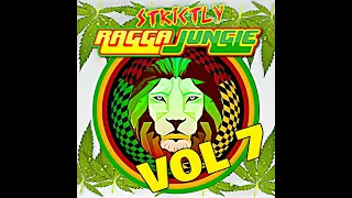 RAGGA JUNGLE IS MASSIVE VOL 7 MIXED BY DJ STP