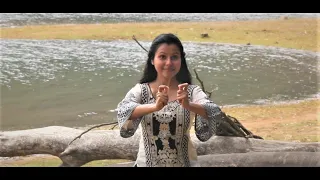 Ksheera Sagara Shayana | Keerthana Vaidyanathan | Dance Cover | Parvathi Pradeep
