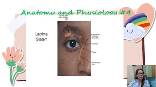 Physical Examination of the Eyes Chapter 11 Part 1A