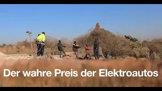 Der wahre Preis der Elektroautos