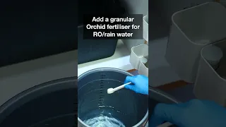 How I water my Orchids!