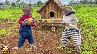 Monkey baby YiYi cooks potatoes for the poor robber when he wanted to rob Un In