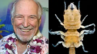The Crustacean Species That's Named After Jimmy Buffett