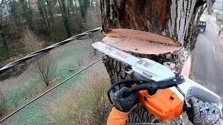 GROS DÉMONTAGE AU DESSUS DES CÂBLES ÉLECTRIQUES STIHL 261