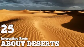 Interesting Facts About Deserts