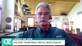 Caught On Tape: The Most Terrifyingly Brutal Bear Attacks