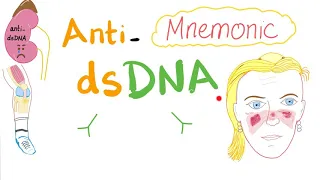 Anti-dsDNA Mnemonic; Systemic Lupus Erythematosus (SLE)