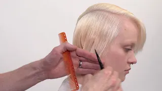 EXCLUSIVE: In Depth Sassoon Academy Cut and Colour Tutorial Step by Step