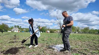 Активісти ТУРу закладають сад у Куріпчине