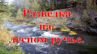 На золотой лесной ручей.