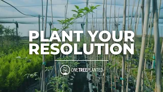 Plant your Resolution | The Grove | One Tree Planted