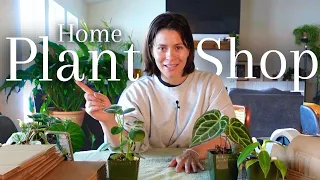 Weekly Plant Shop Routine | Running an Online Houseplant Shop from Home