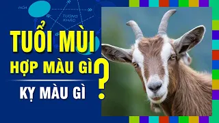 TUỔI MÙI Hợp MÀU GÌ? Kỵ Màu Nào Nhất? Chọn Màu Sắc Đúng Phong Thủy Để Đón May Mắn