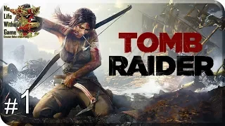 Tomb Raider 2013[#1] - Треугольник Дракона (Прохождение на русском(Без комментариев))