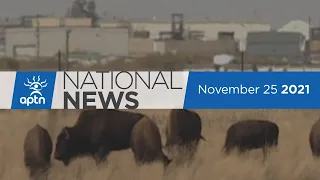 APTN National News November 25, 2021 – Deaths at temporary shelter, Alberta youth in care deaths