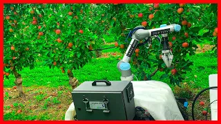 Incredible Machinery Apple Harvesting | Agriculture AI Technology
