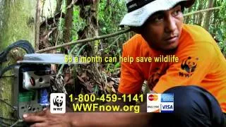 World Wildlife Fund TV Commercial, 'Tigers'