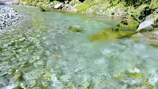 【自然の音】せせらぎ - 4_2 / 1 Hour Nature Sounds - Babbling Brook Sounds