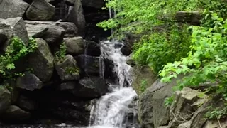 Finding Silence in New York City #4 (The Ravine at Central Park)