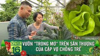 Khu vườn trong mơ của cặp vợ chồng thủ đô | VTC16