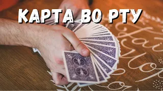 Фокус КАРТА ВО РТУ / Фокусы с картами обучение